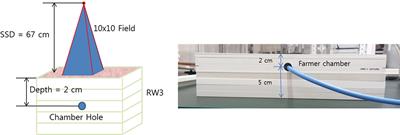 Development of Total Lymphoid Irradiation (TLI)-Dedicated Shielding and Image-Guided System and Dose Evaluation Using 3D-Printed Rat Phantom